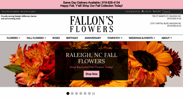 fallonsflowers.com