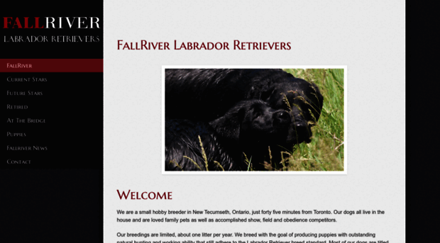 fallriver-labrador-retrievers.com