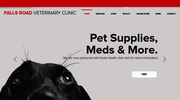 fallsroadvetclinic.com