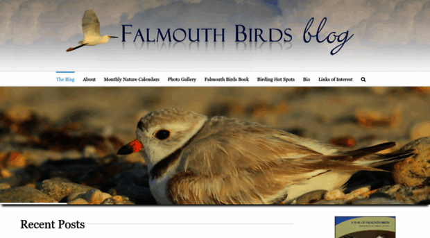 falmouthbirds.com