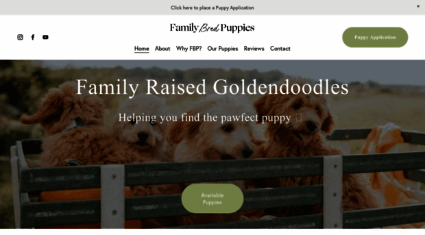 familybredpuppies.com