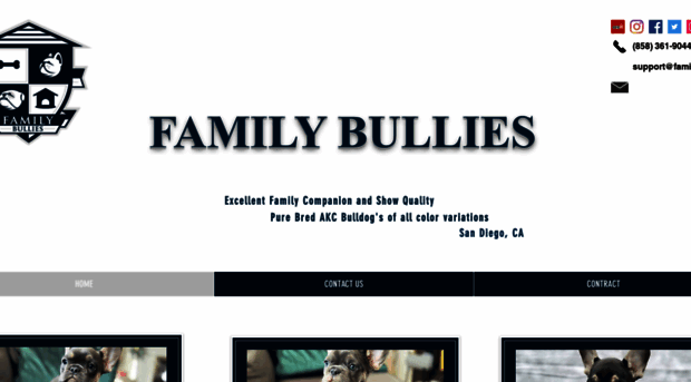 familybullies.com