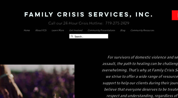 familycrisisonline.org