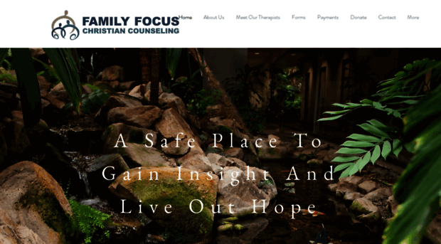 familyfocuscounseling.org