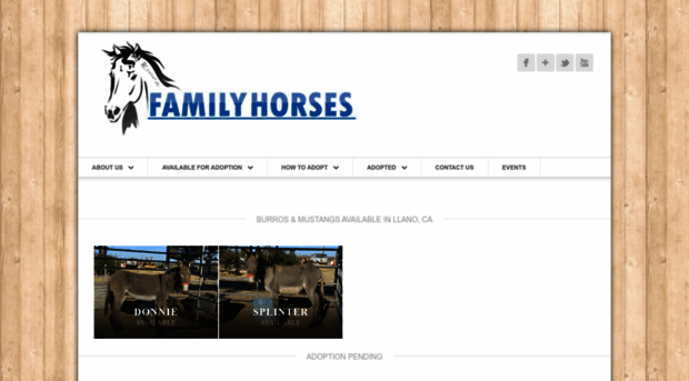 familyhorses.net