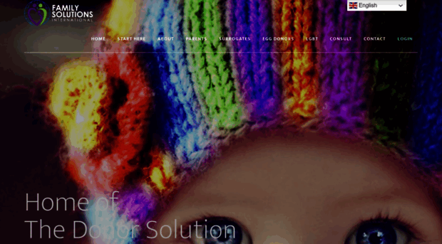 familysolutionsinternational.com