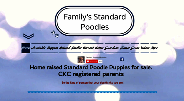 familystandardpoodle.com