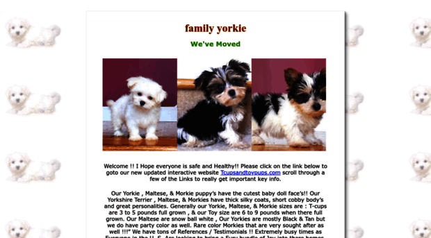 familyyorkies.com