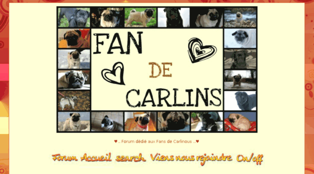 fan2carlin.forumsgratuits.fr