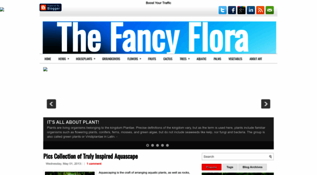 fancyflora.blogspot.com