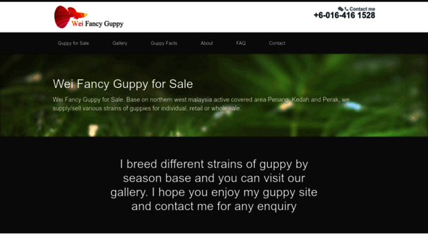 fancyguppy.net