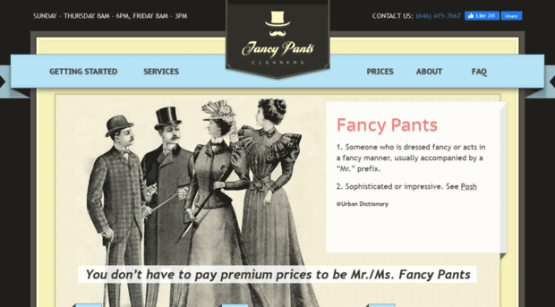 fancypantscleaners.com