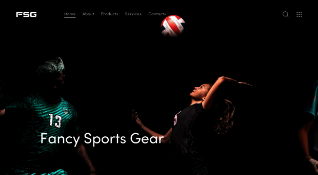 fancysportsgear.com