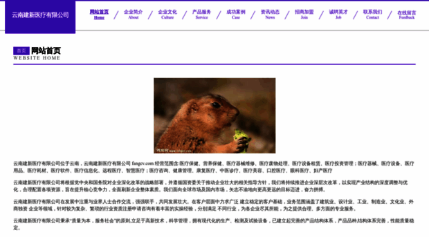 fangcv.com
