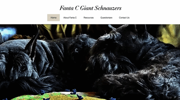 fantacgiantschnauzers.com