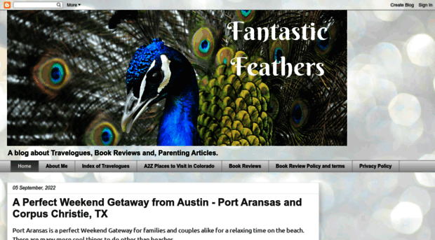 fantastic-feathers.blogspot.in