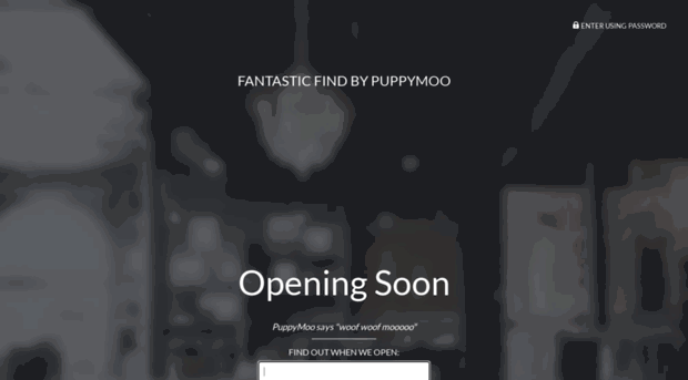 fantasticfindonline.com