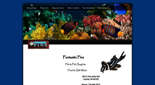 fantasticfinsfish.com