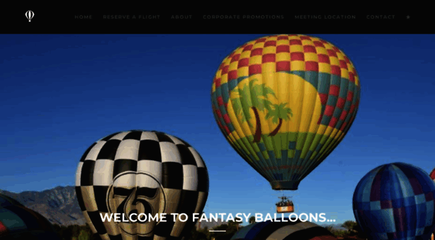fantasyballoonflight.com