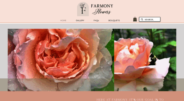 farmonyflowers.com