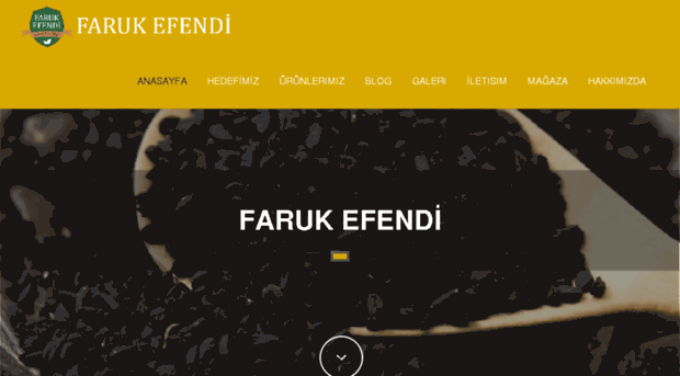 farukefendi.net