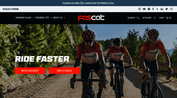 fascatcoaching.com