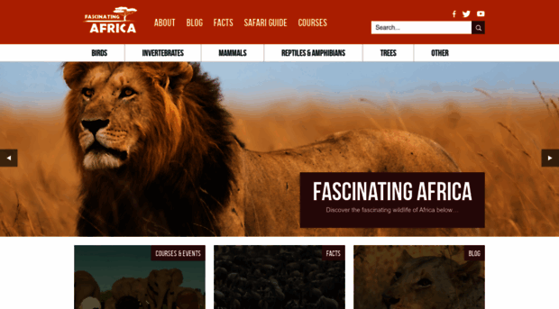 fascinatingafrica.com