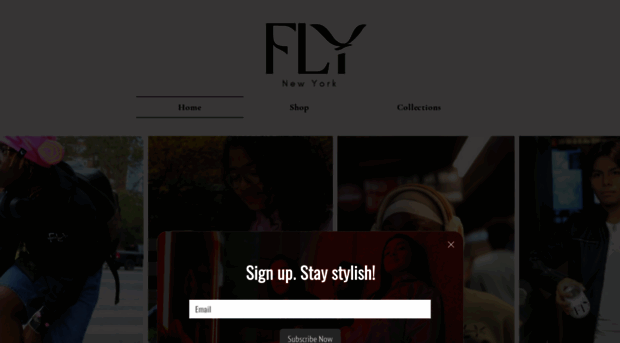 fashionflyny.com