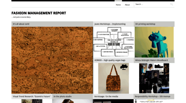 fashionmanagementreport.wordpress.com