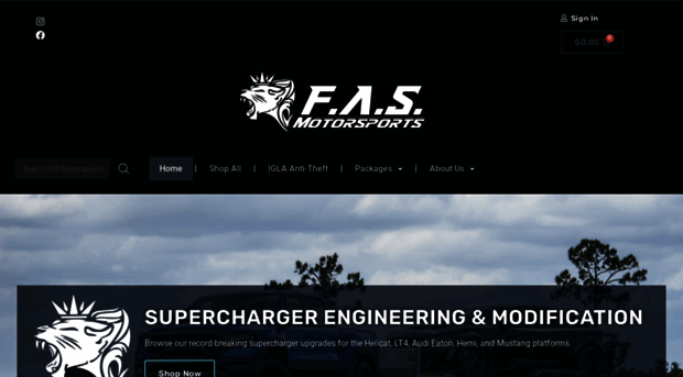 fasmotorsports.us