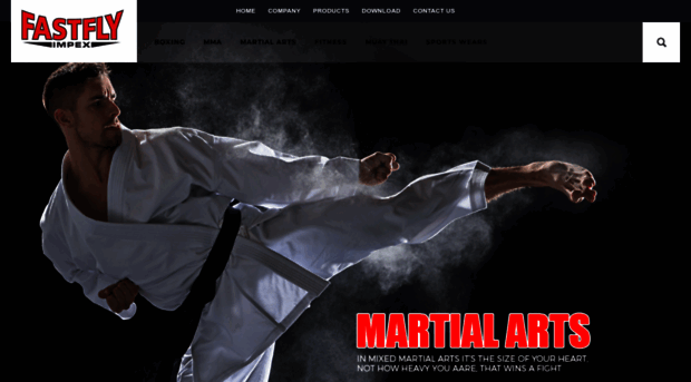 fastfly-martialarts.com