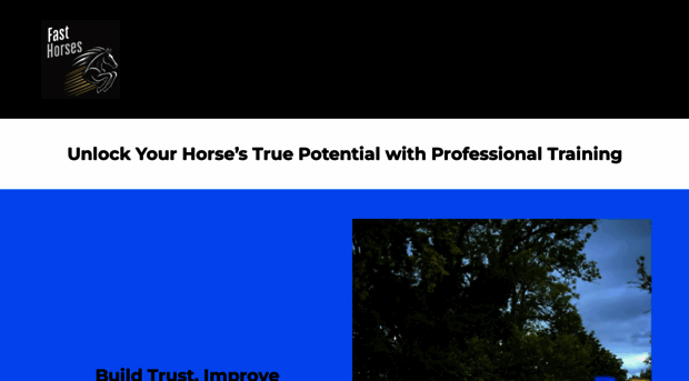 fasthorsesllc.com