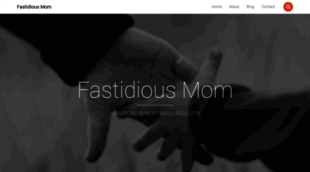 fastidiousmom.com