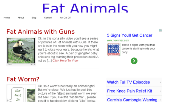 fatanimals.org