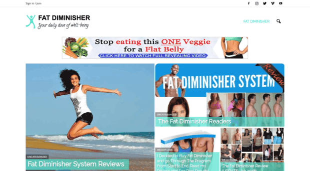 fatdiminishersystems.net