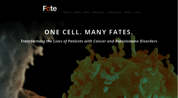 fatetherapeutics.com