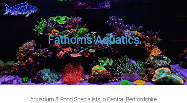 fathomsaquatics.com