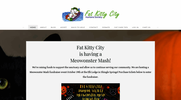 fatkittycity.org