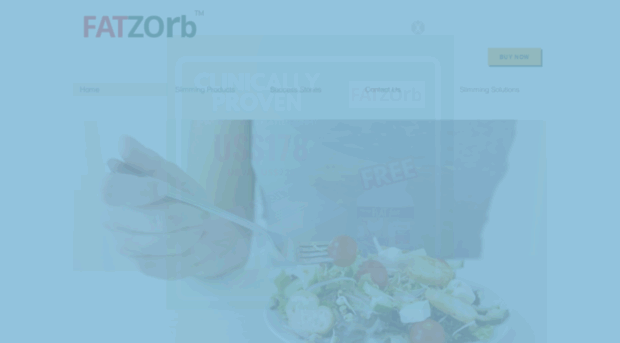 fatzorb.com