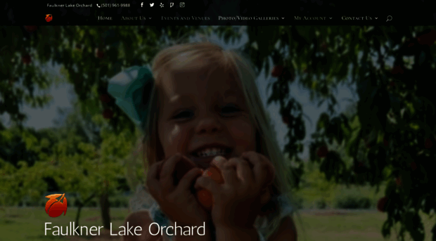 faulknerlakeorchard.com