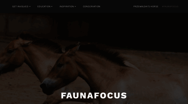 faunafocus.com