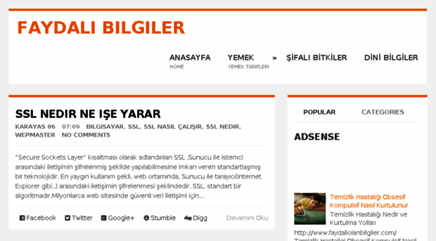 faydaliolanbilgiler.com