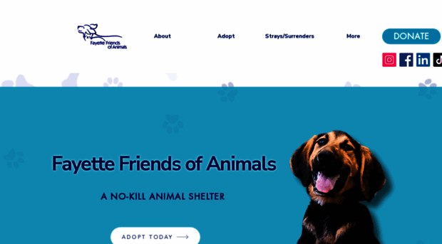 fayettefriendsofanimals.net