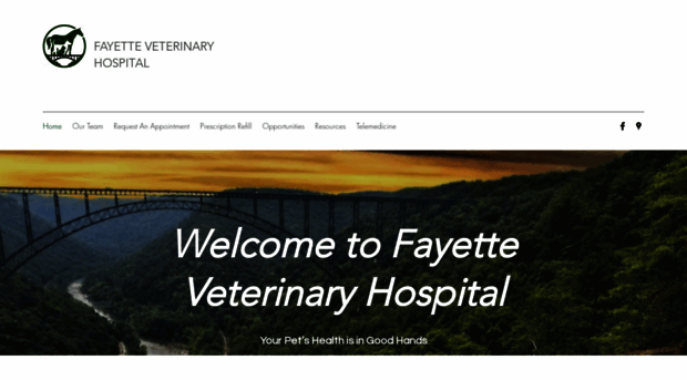 fayettevet.com