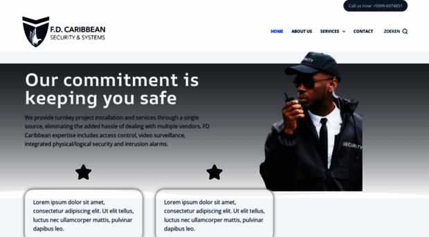 fdcaribbeanservices.com