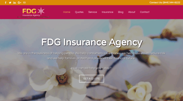 fdginsuranceagency.com