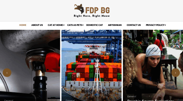 fdp-bg.com