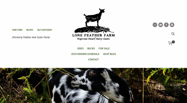 featherandscalefarm.com