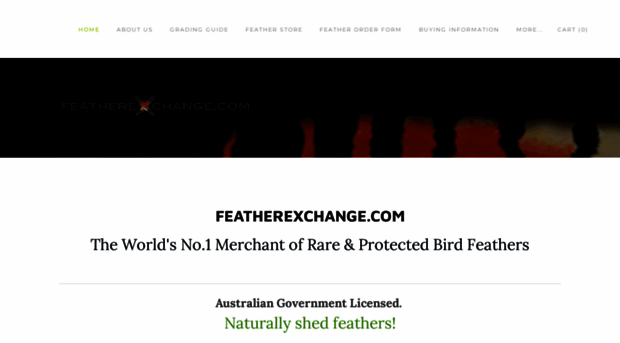 featherexchange.com