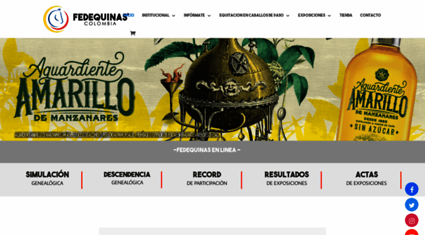 fedequinas.org